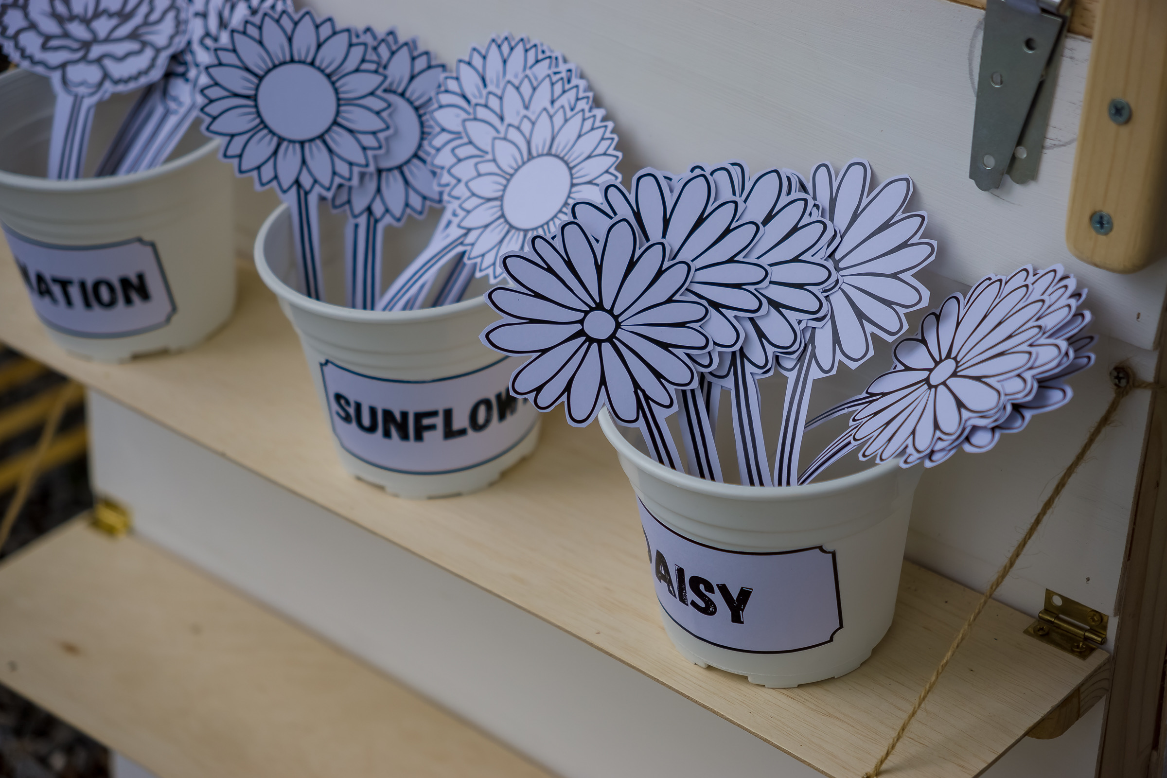 Flower art colouring activity — sunflower and daisy cutouts